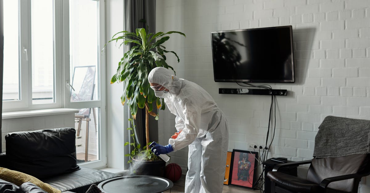 Sarasota House Cleaning By Sparkle