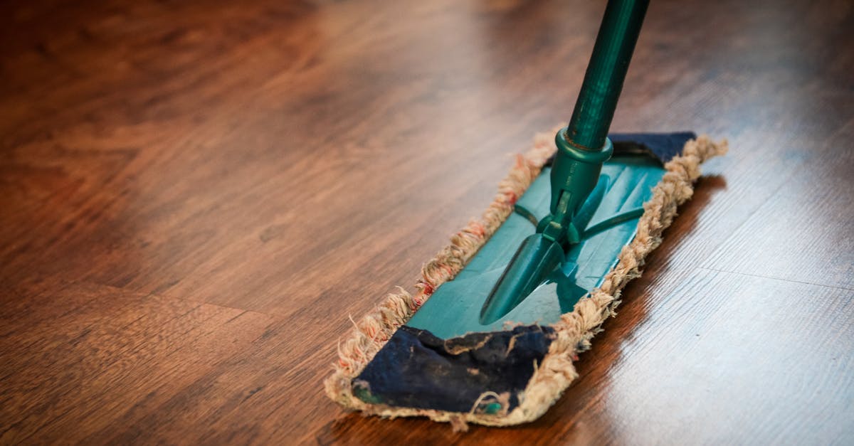 Is it mopping or moping?
