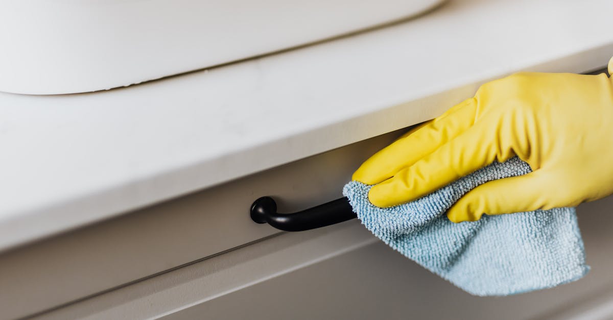 Refrigerator Cleaning