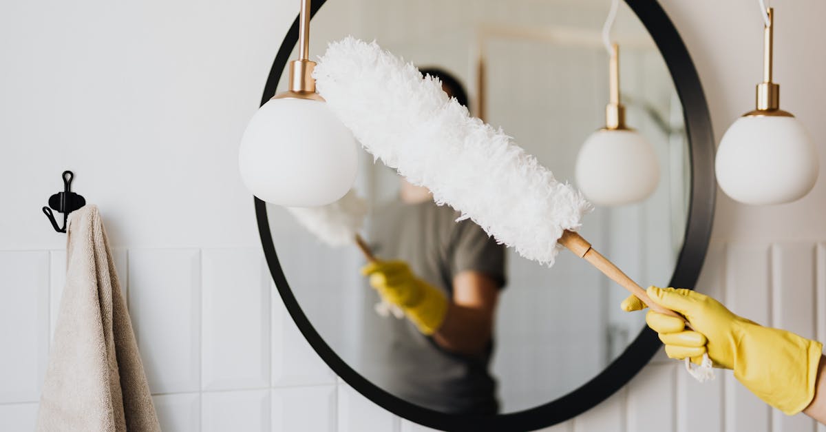 What do professionals use to clean bathrooms?
