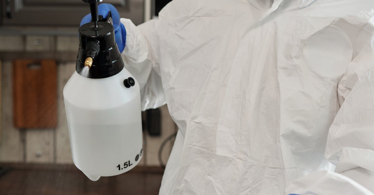 What is an example of a disinfectant?
