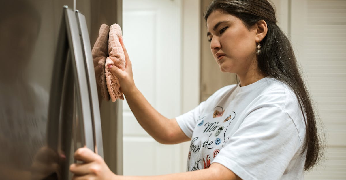 What is the best thing to clean the inside of a fridge with?