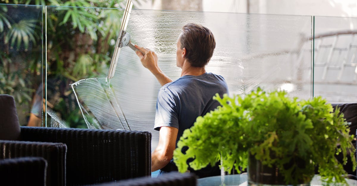 What is the best thing to use to clean windows?